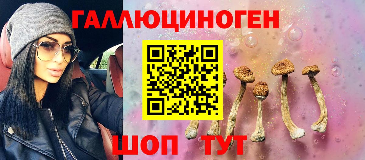 Галлюциногенные грибы мицелий  Вход с VPN  Тайшет  Галлюциногенные грибы MAGIC MUSHROOMS 