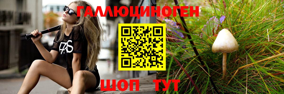Галлюциногенные грибы Cubensis Тайшет